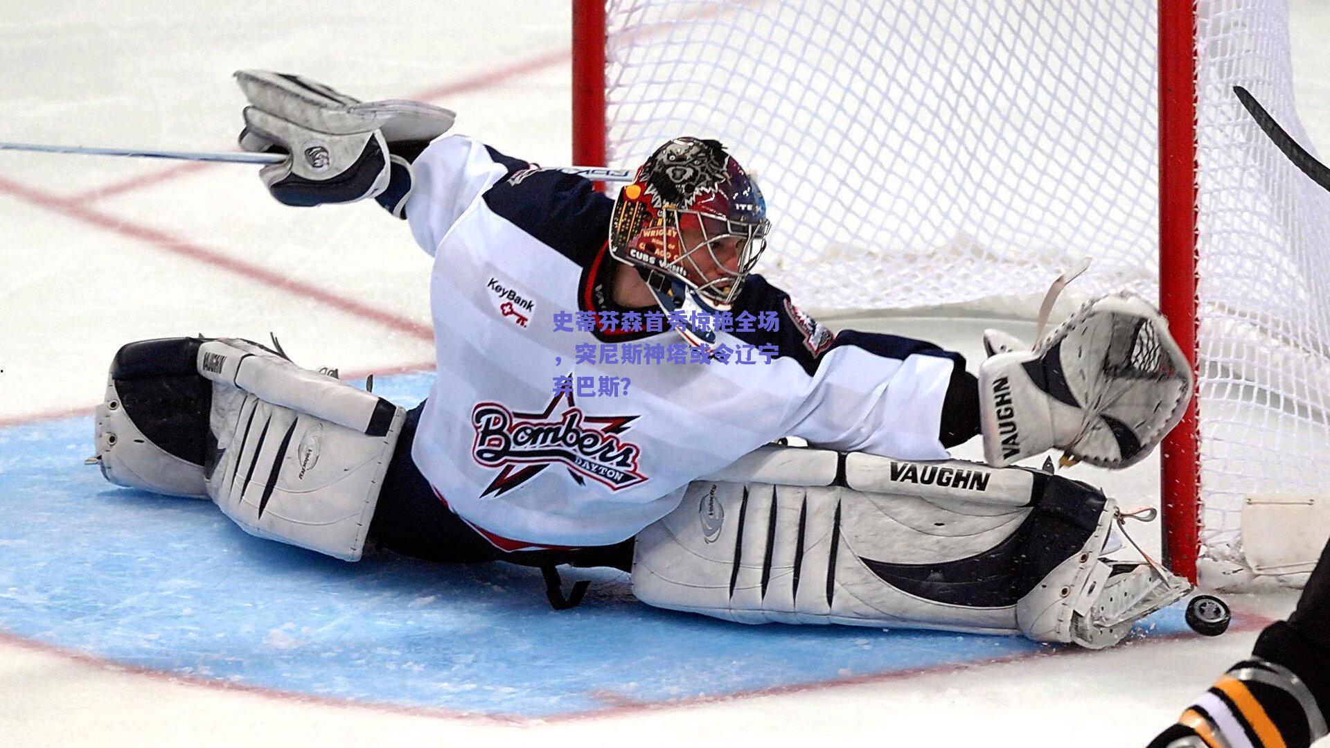 史蒂芬森首秀惊艳全场,突尼斯神塔或令辽宁弃巴斯?